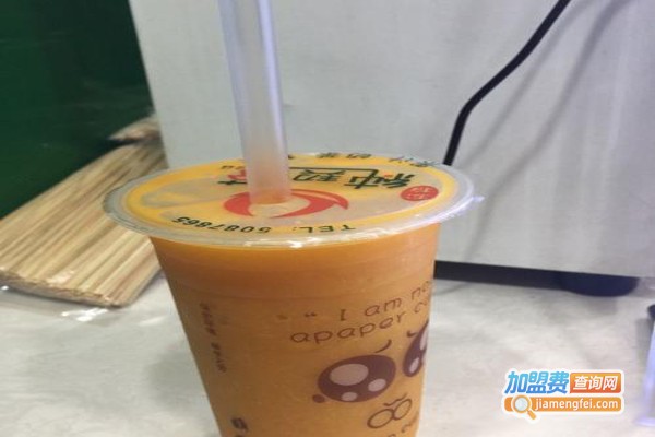 纯契茶加盟费