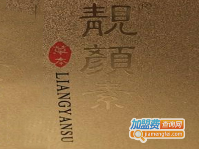 靓颜素化妆品加盟费