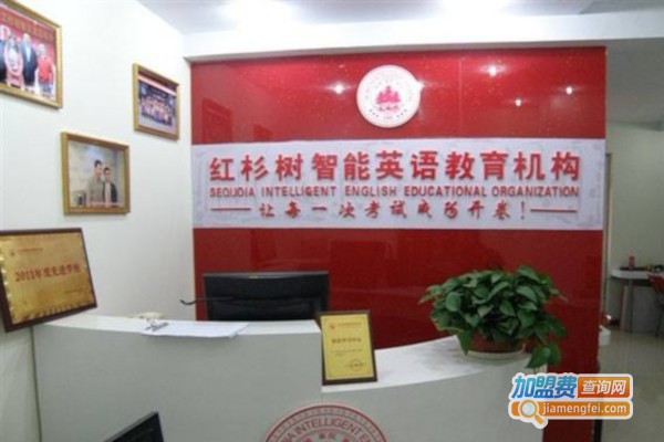 红衫树教育加盟费
