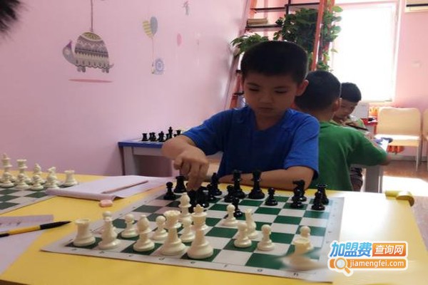晨鹰国际象棋俱乐部加盟费