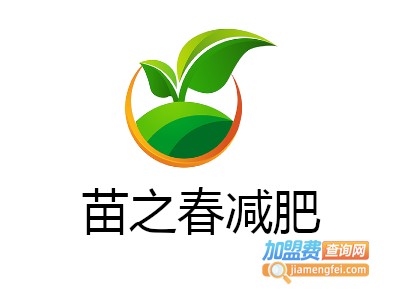 苗之春减肥加盟费