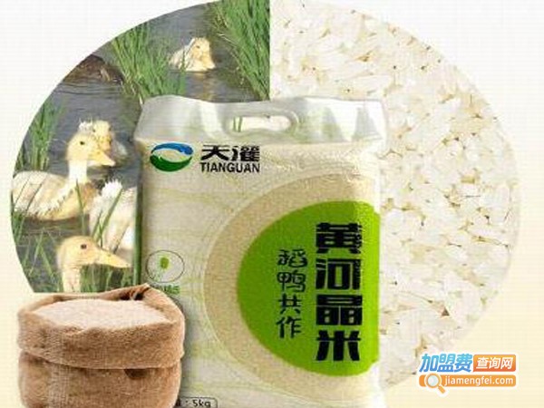 天灌米业加盟费
