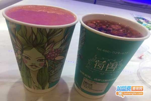莓兽极寒境莓果现榨加盟门店