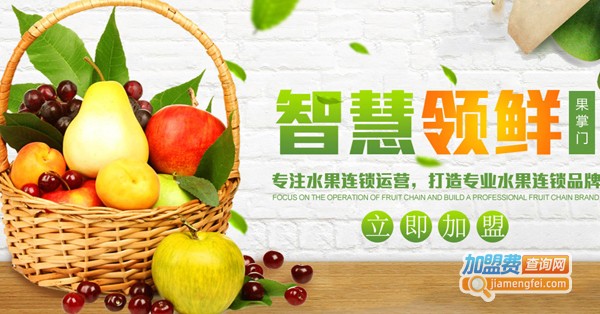果掌门水果连锁加盟费