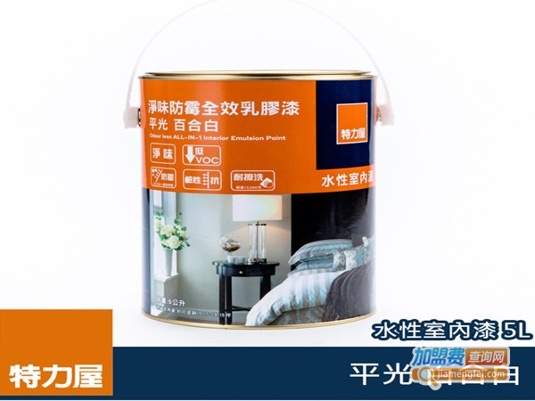 特力屋涂料加盟费