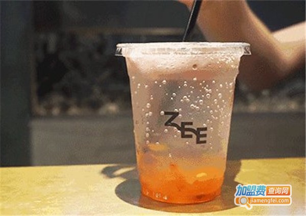 异域茶加盟费