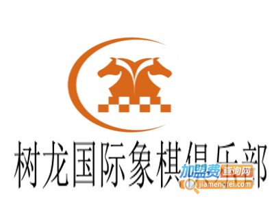 树龙国际象棋俱乐部加盟电话