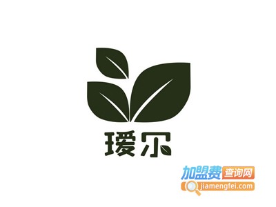 瑷尔电动汽车加盟