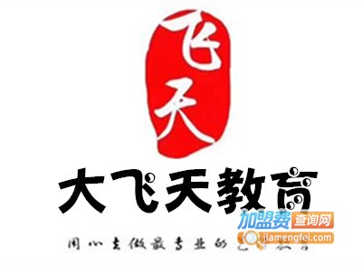 大飞天教育加盟电话