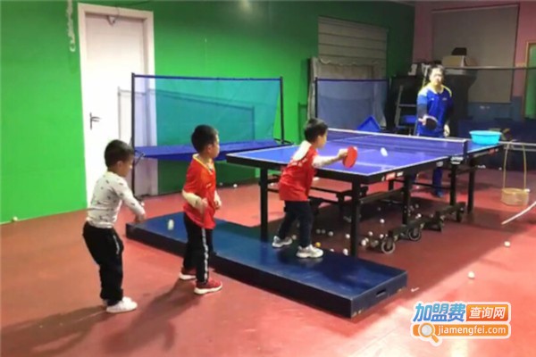 雏鹰乒乓球培训加盟费