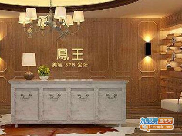 凤王SPA美容加盟费