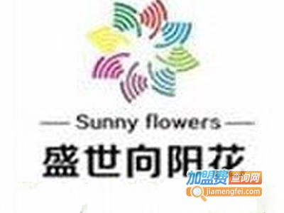 向阳花碳纤维地暖加盟费