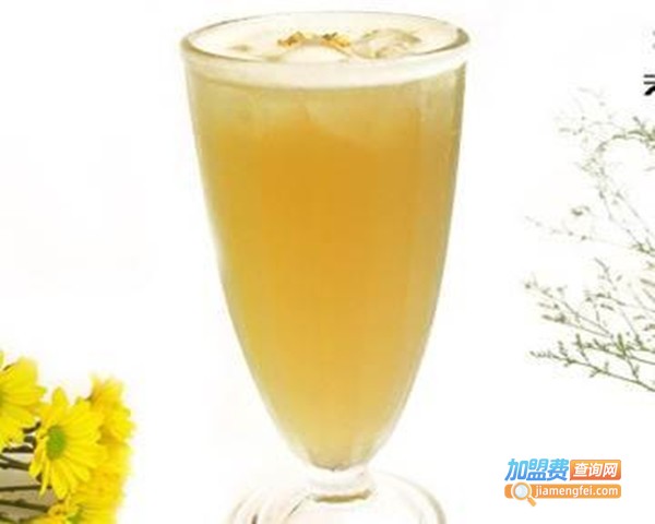 茉绿茶加盟