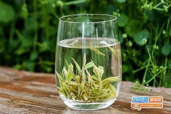 银叶牌安吉白茶加盟费