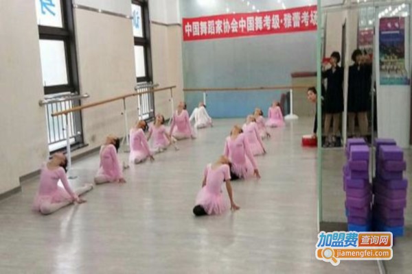 雅蕾舞蹈加盟费