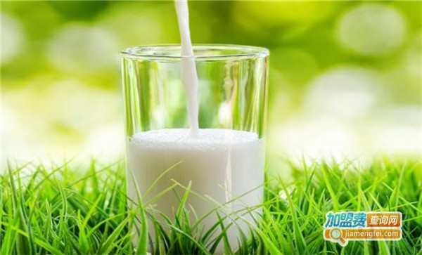 龙驹乳业加盟费