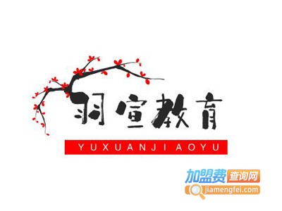 羽宣教育加盟费