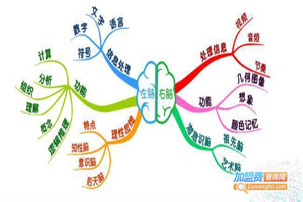 卓忆右脑