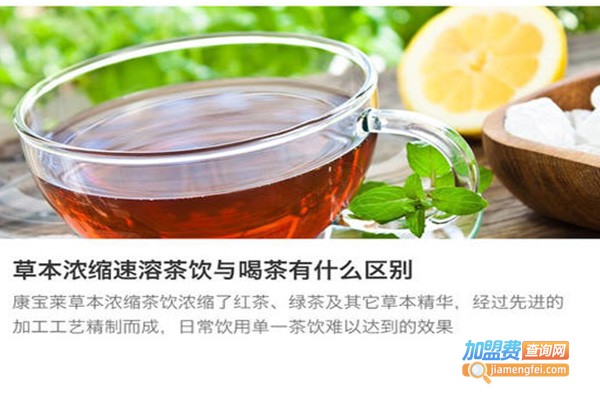 素舍茶加盟费