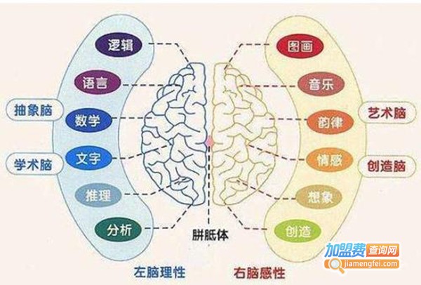 王牌右脑开发加盟费