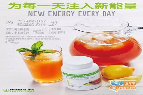 素舍茶加盟费