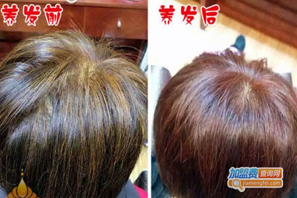 阿迪古娜植物养发加盟费