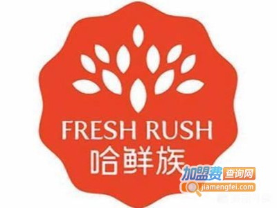 哈鲜族鲜果吧加盟费