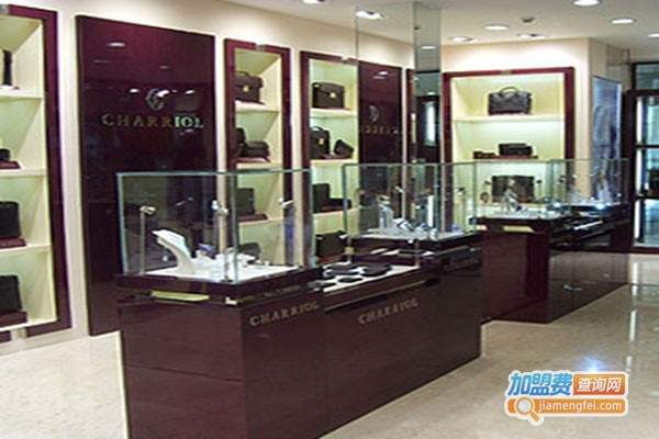 VDSS皮鞋皮具养护行加盟门店