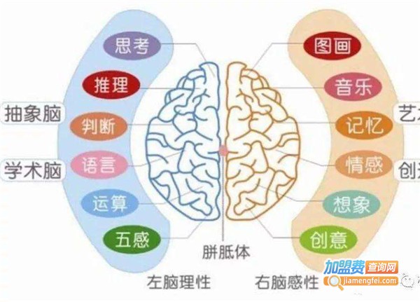 幼儿右脑英语加盟费