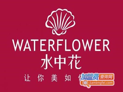 水中花文胸加盟费