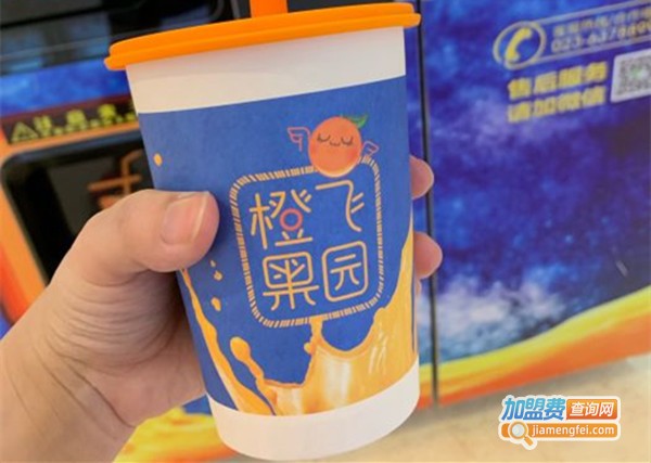 橙飞果园加盟费
