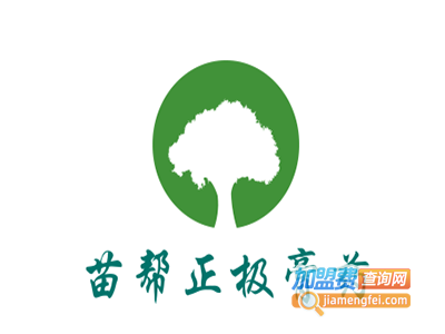 苗帮正极膏药加盟费