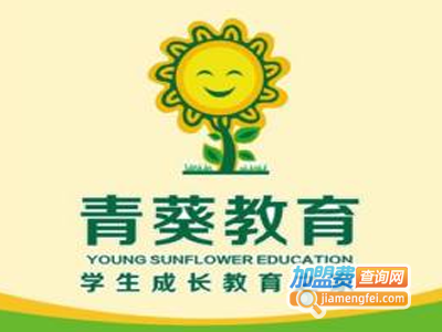 青葵教育加盟费