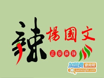 杨国文麻辣小吃加盟费