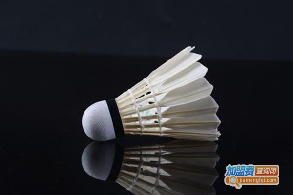 桂昌立羽毛球加盟门店
