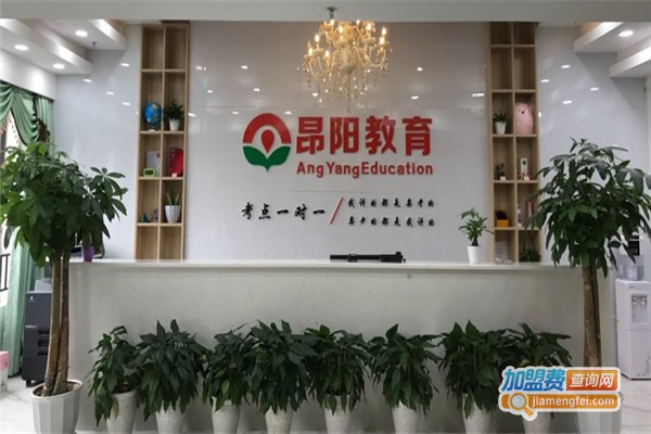昂阳教育加盟费