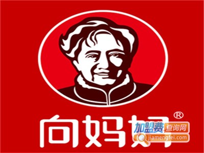 向妈妈休闲食品加盟费