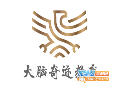 大脑奇迹教育加盟费