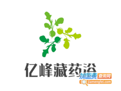 亿峰藏药浴加盟费