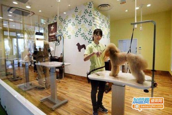 畅享宠物店加盟费