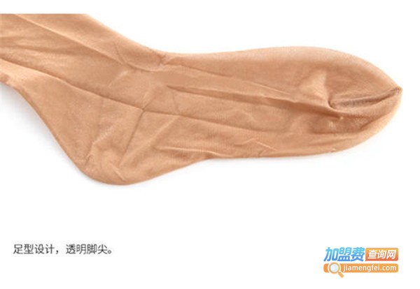 厚木加盟费