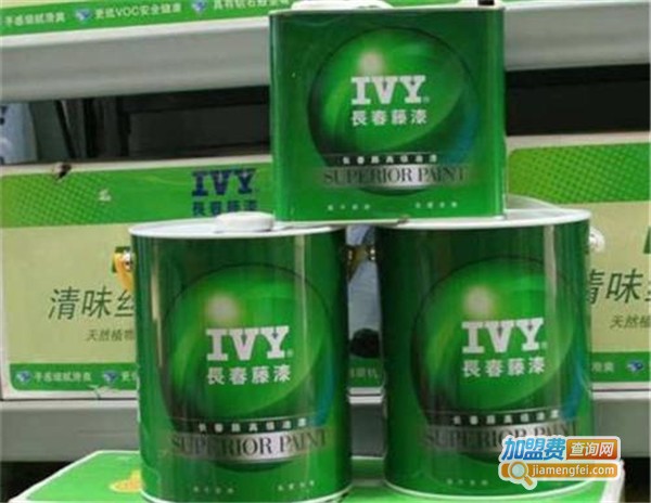 长春藤漆加盟费