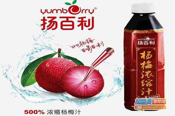 扬百利杨梅汁加盟费