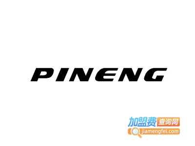 pineng充电宝加盟费