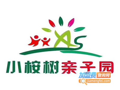 桉树园早教加盟费