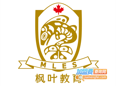 枫叶教育加盟费