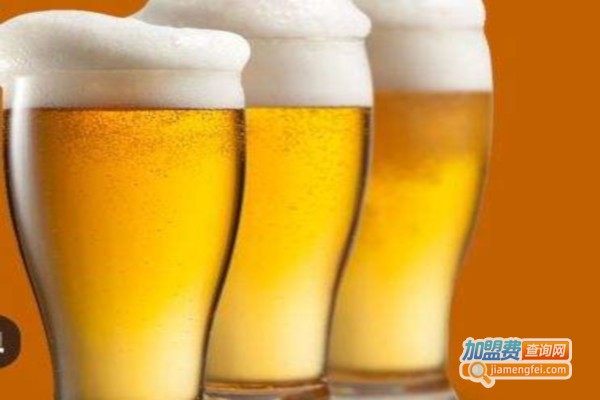 VHANDS精酿啤酒加盟费