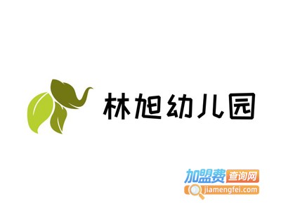 林旭幼儿园加盟费