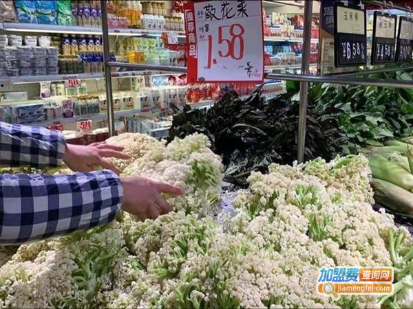 宅家里手机超市加盟门店