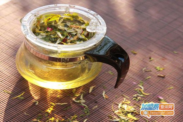 金线莲养肝茶加盟费
